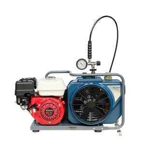 NRW-100GG Portable Air Compressor