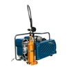 NRW-100G Portable Air Compressor